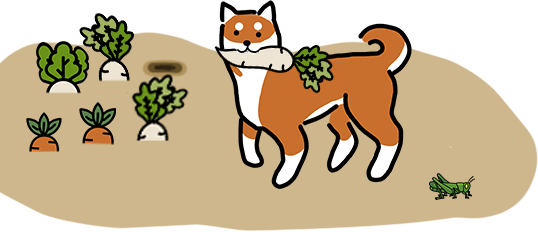 redshiba-digging