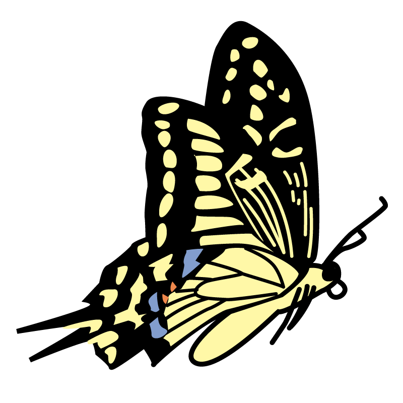 swallowtail_butterfly